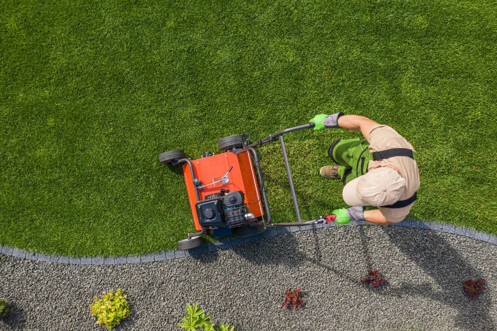 A man mows grass with a lawn mower in a Chicago yard, representing a professional lawn care service.