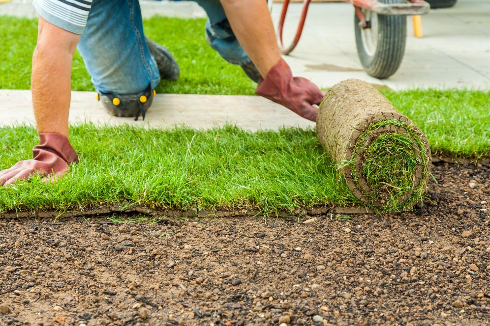 A man laying down a roll of grass as part of a lawn treatment service in Chicago, IL.