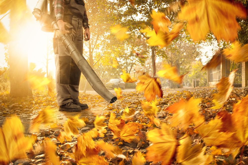 A man surrounded by vibrant autumn leaves, representing a yard cleanup service in Chicago, IL.