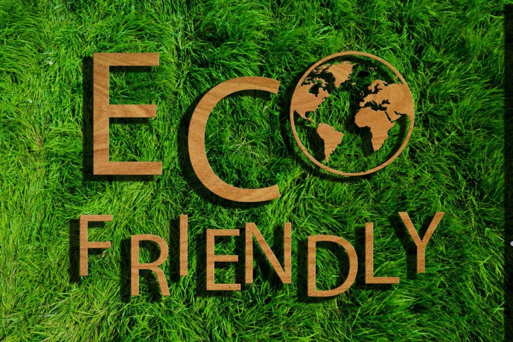 Eco-Friendly Mosquito Control Solutions